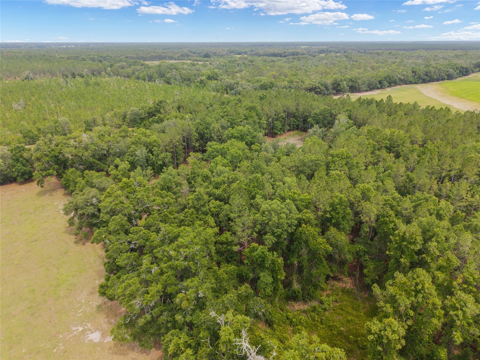 0 SW 234th Street Newberry FL 32669 GC537006 image31