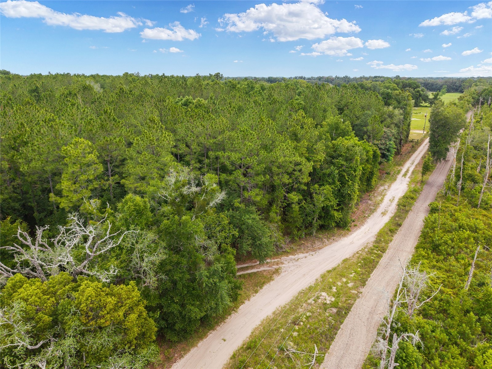 0 SW 234th Street Newberry FL 32669 GC537006 image9