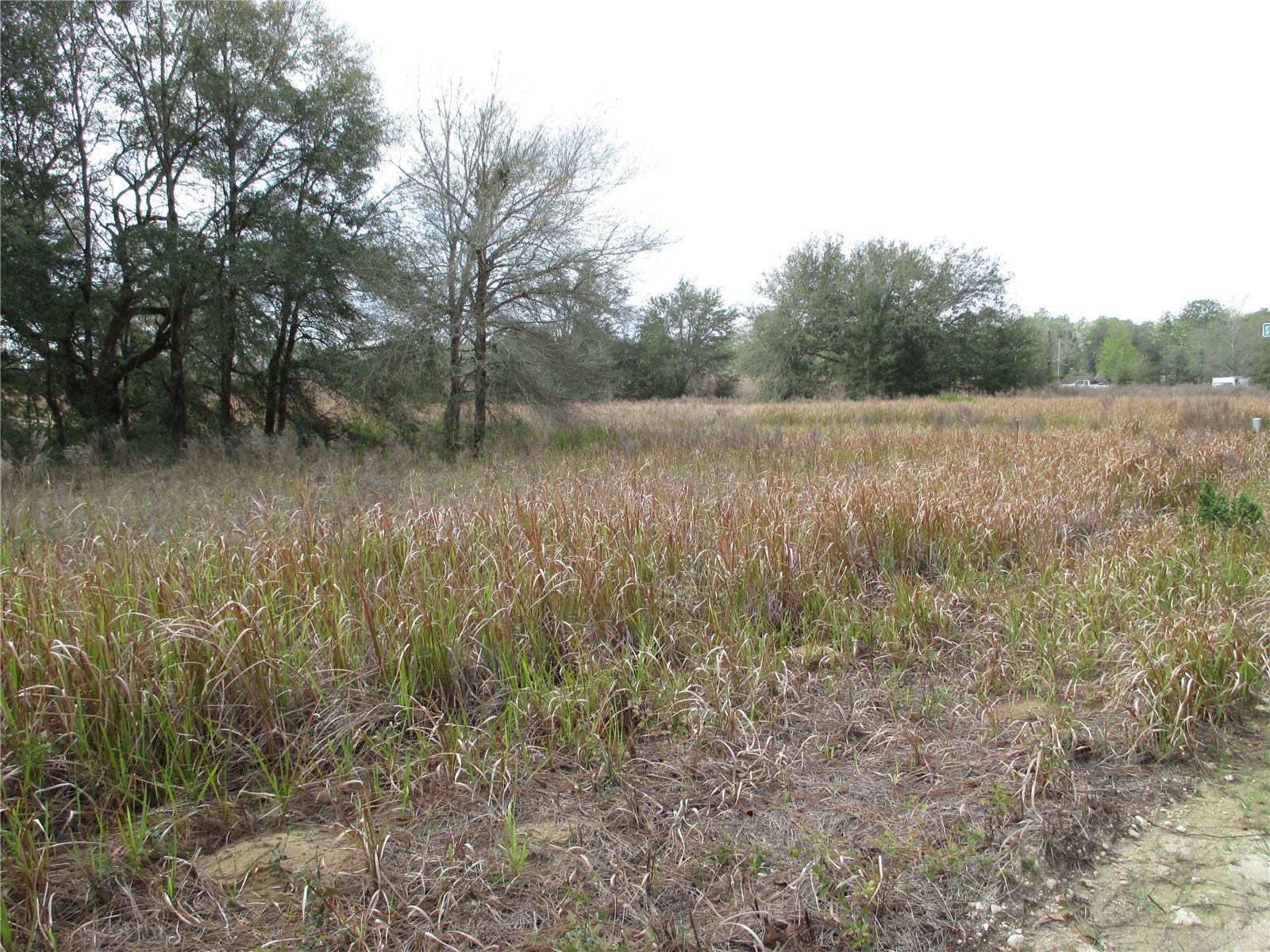 0 SW 24th Place Ocala FL 34481 TB8491466 image4