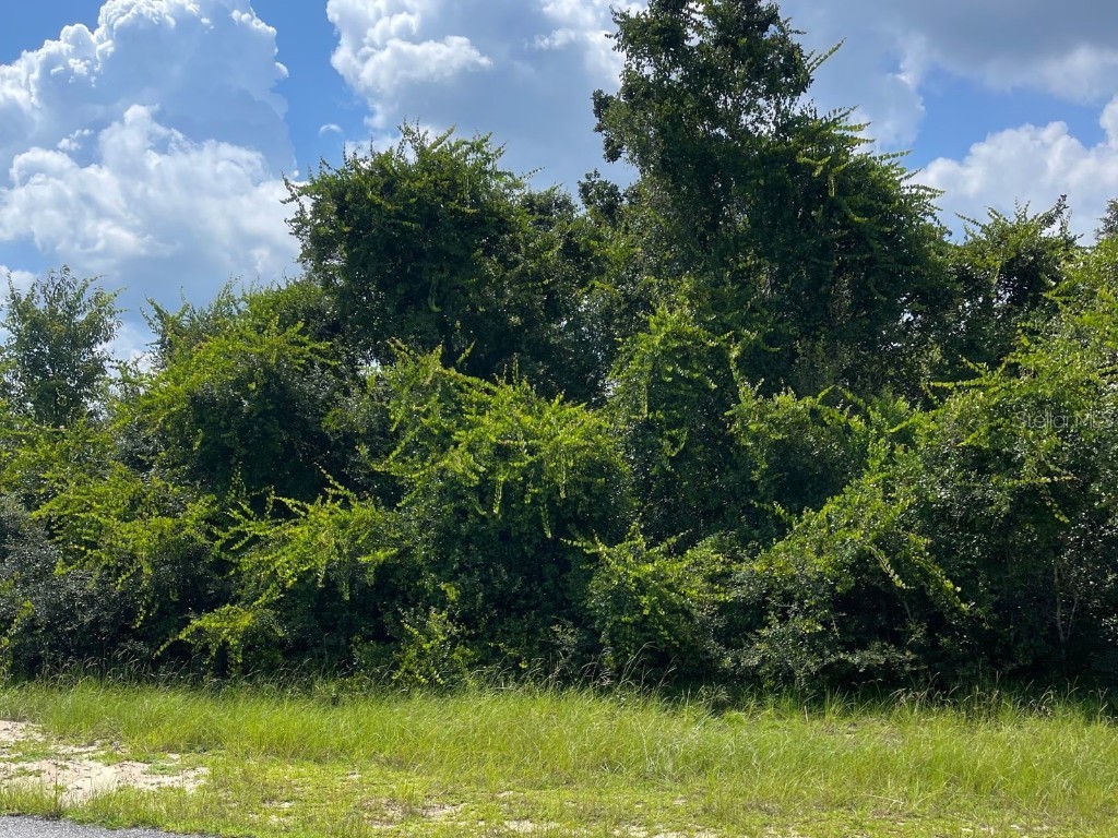 0 SW 25th Circle Ocala FL 34473 OM662354 image1