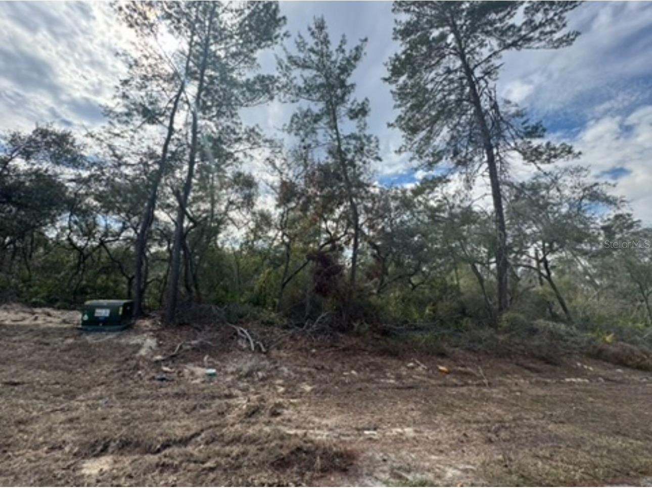 0 SW 25th Court Ocala FL 34473 OM716131 image2