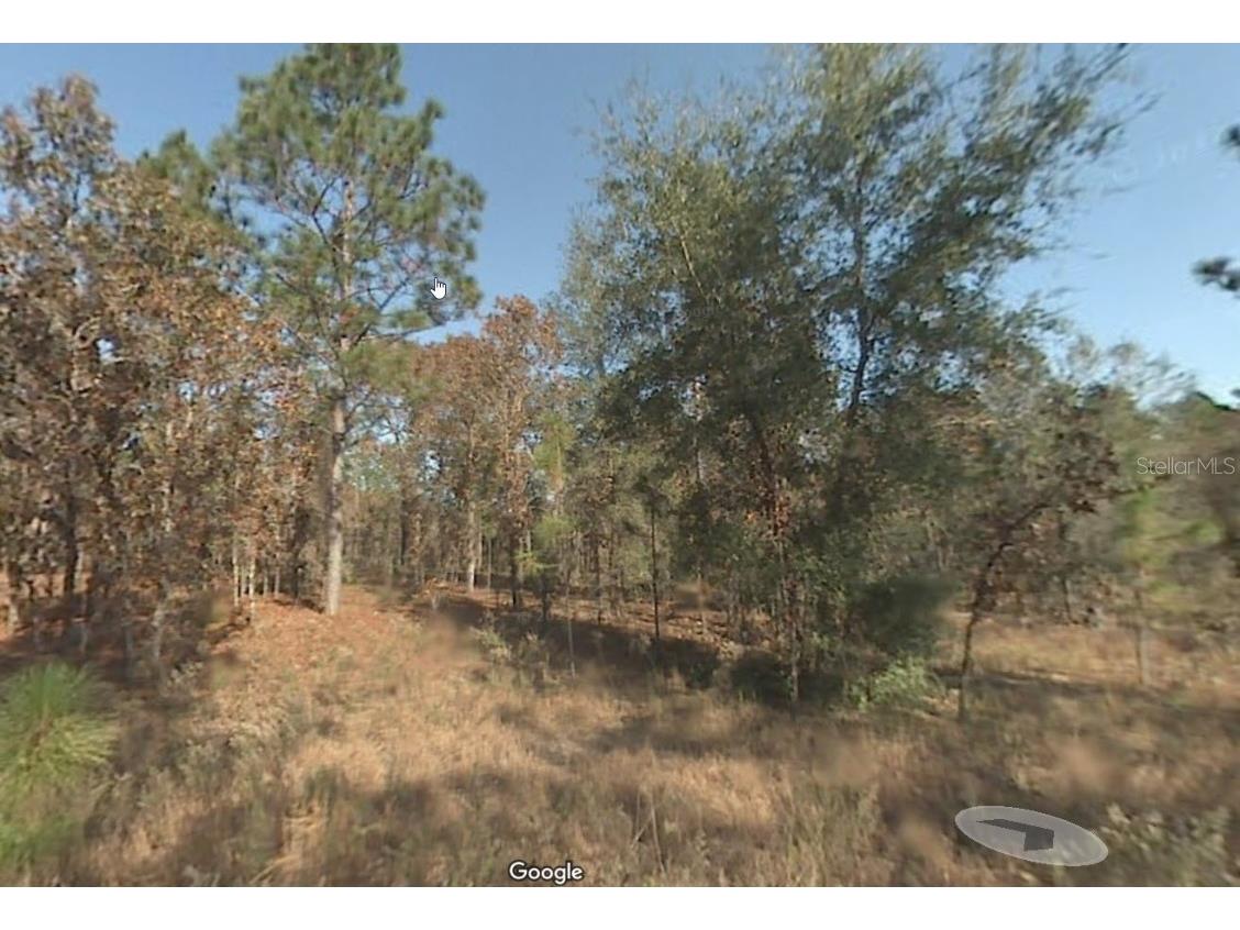 0 SW 26th Place Ocala FL 34481 A4655295 image1