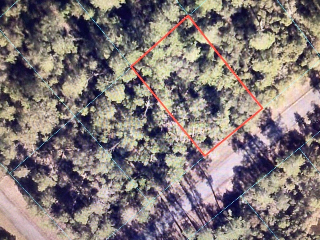 0 SW 27th Circle Ocala FL 34473 OM655623 image1