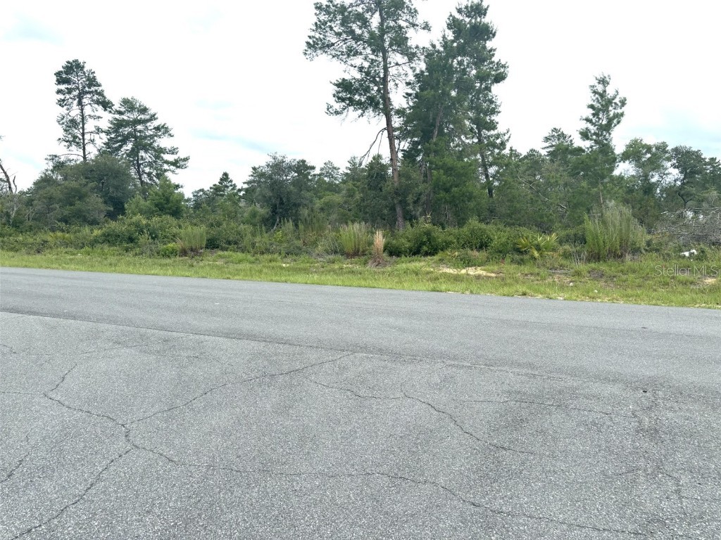 0 SW 27th Circle Ocala FL 34473 OM680735 image1