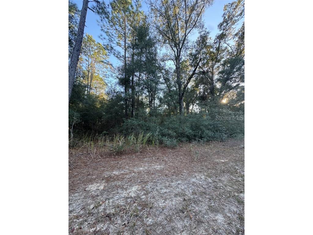 0 SW 31st Place Ocala FL 34481 O6267793 image1