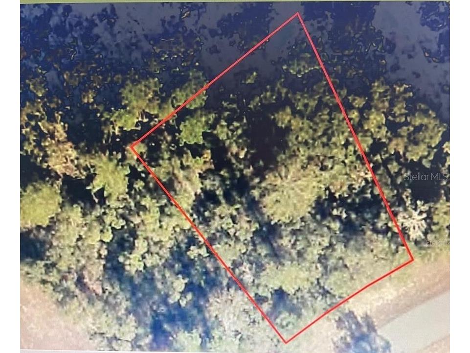 0 SW 31st Terrace Ocala FL 34473 OM713717 image1