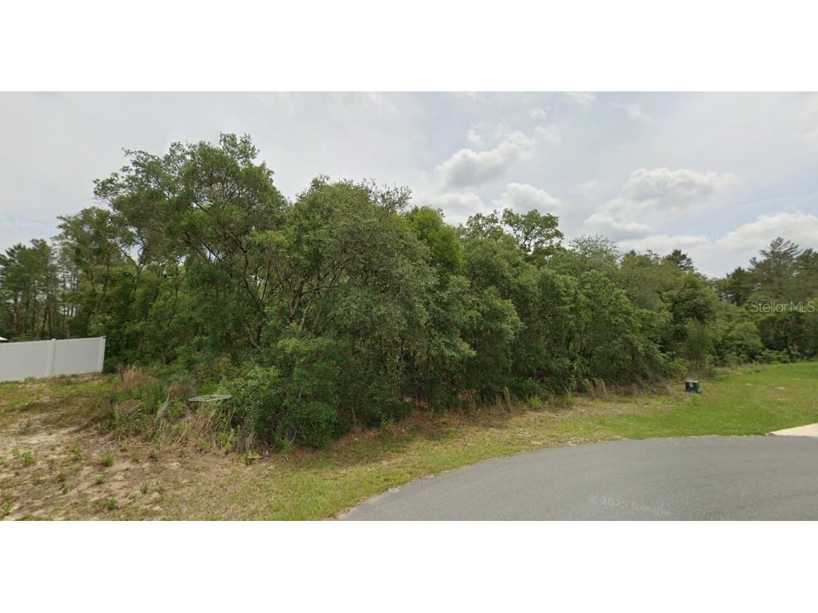 0 SW 33 Avenue Road #LOT 43 Ocala FL 34473 O6400887 image2