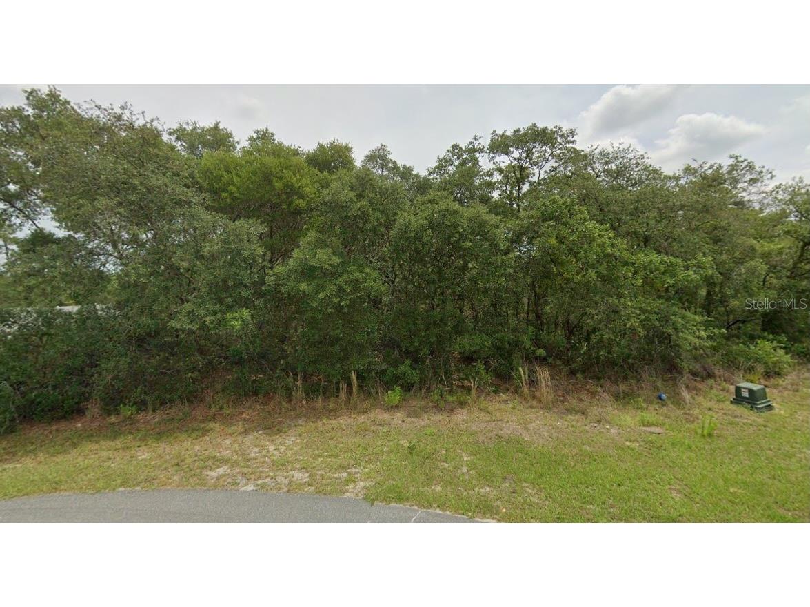 0 SW 33 Avenue Road #LOT 43 Ocala FL 34473 O6400887 image3