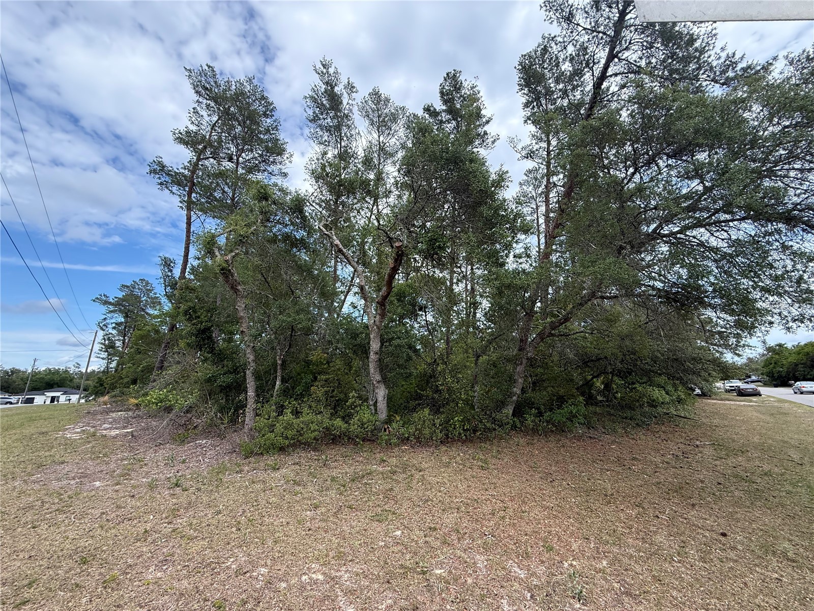 0 SW 33rd Court Road Ocala FL 34473 OM723896 image2