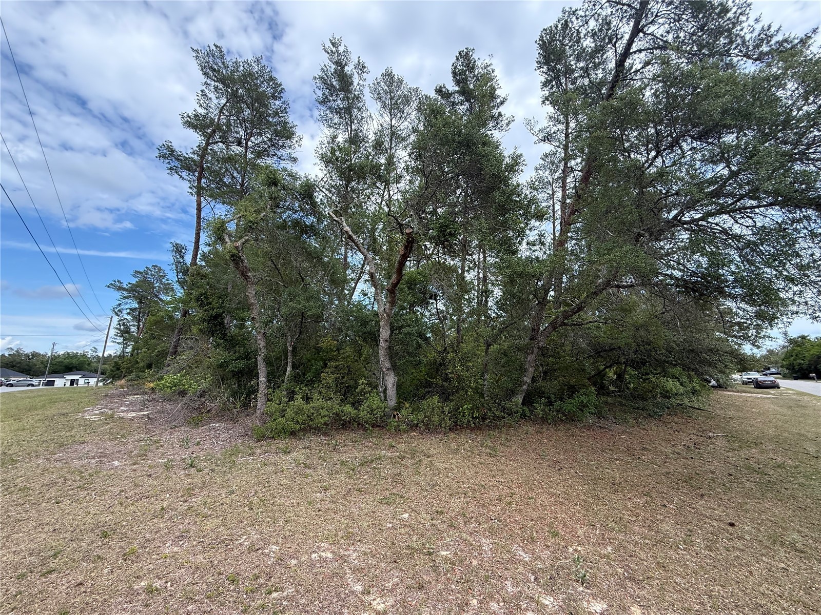 0 SW 33rd Court Road Ocala FL 34473 OM723896 image4