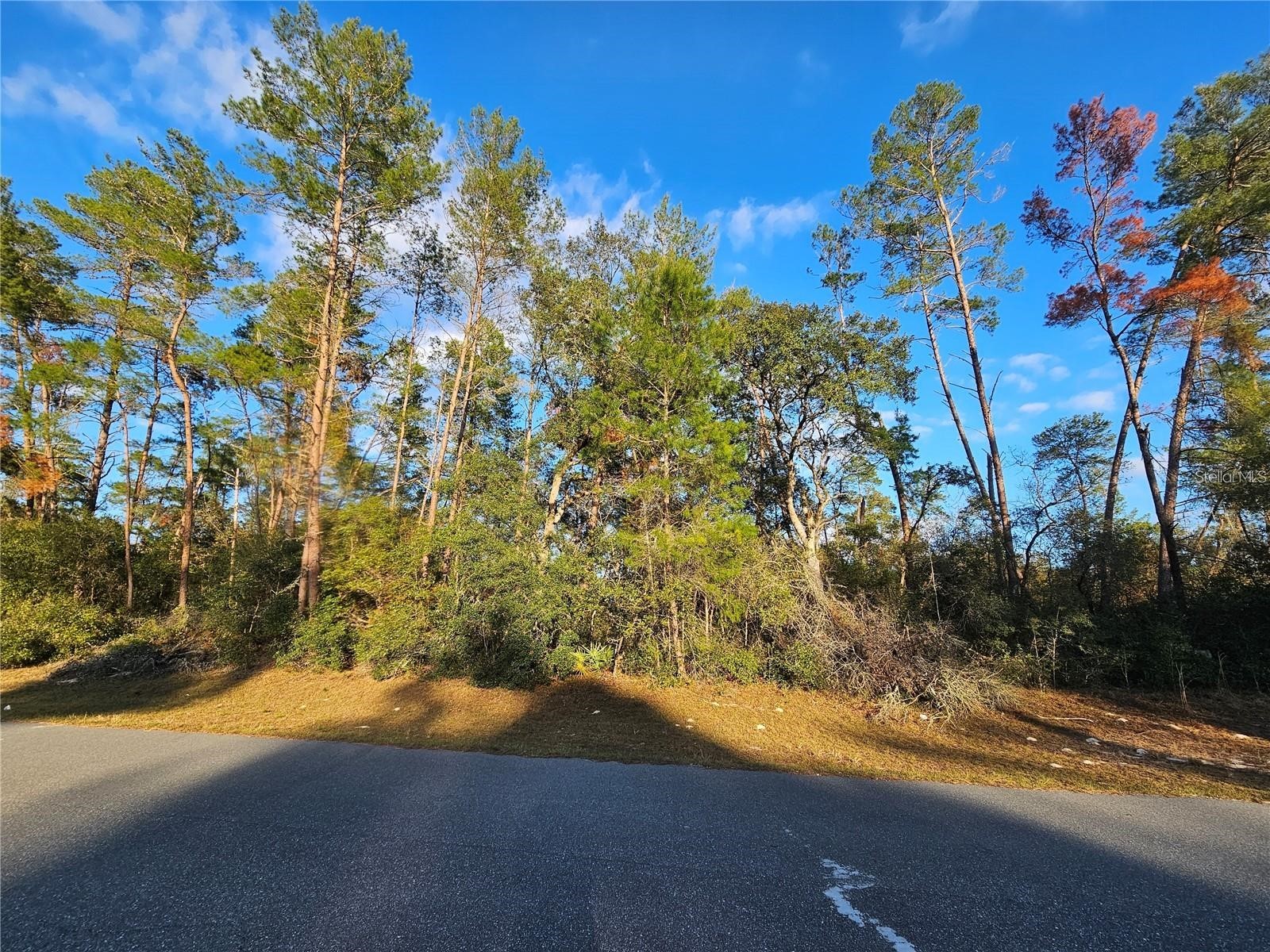 0 SW 33rd Terrace Ocala FL 34473 OM727519 image1