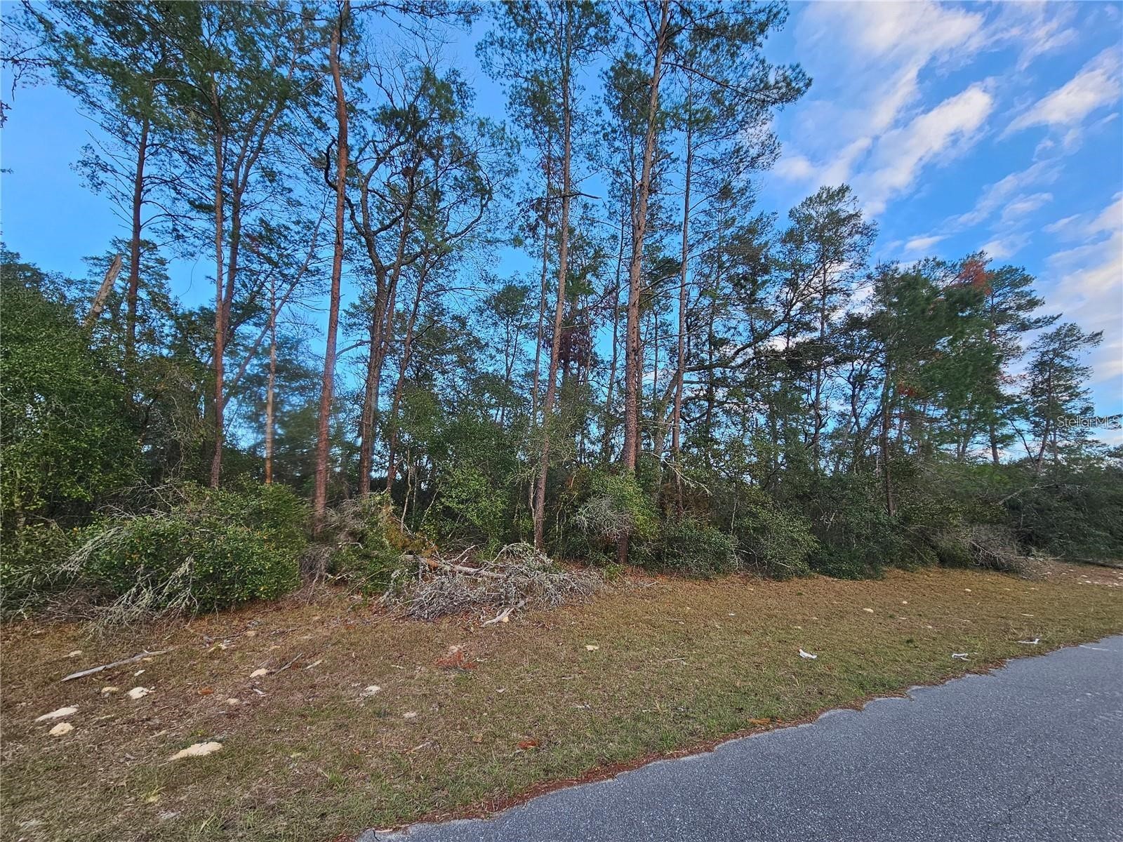 0 SW 33rd Terrace Ocala FL 34473 OM727519 image2