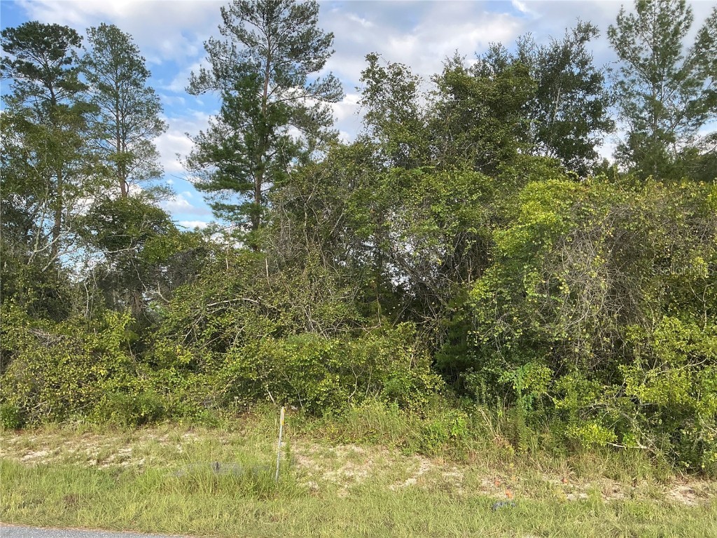 0 SW 35th Ave Road Ocala FL 34473 OM710800 image1