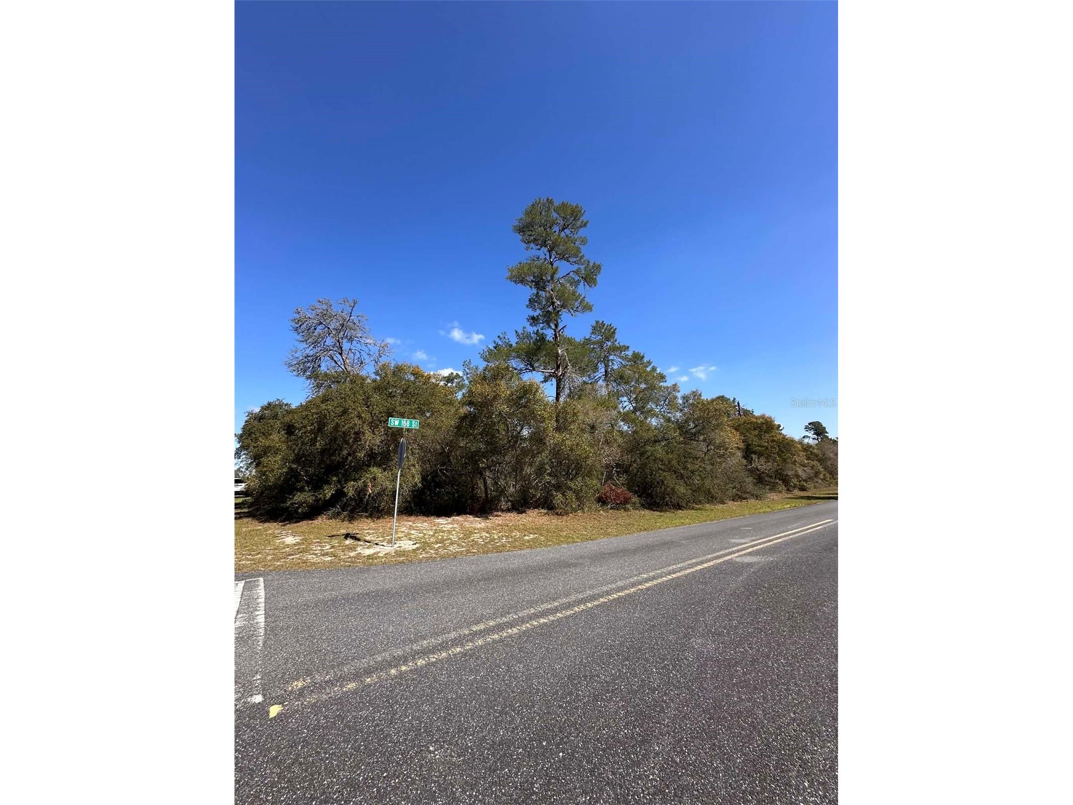 0 SW 36th Ave. Rd Ocala FL 34473 OM720987 image3