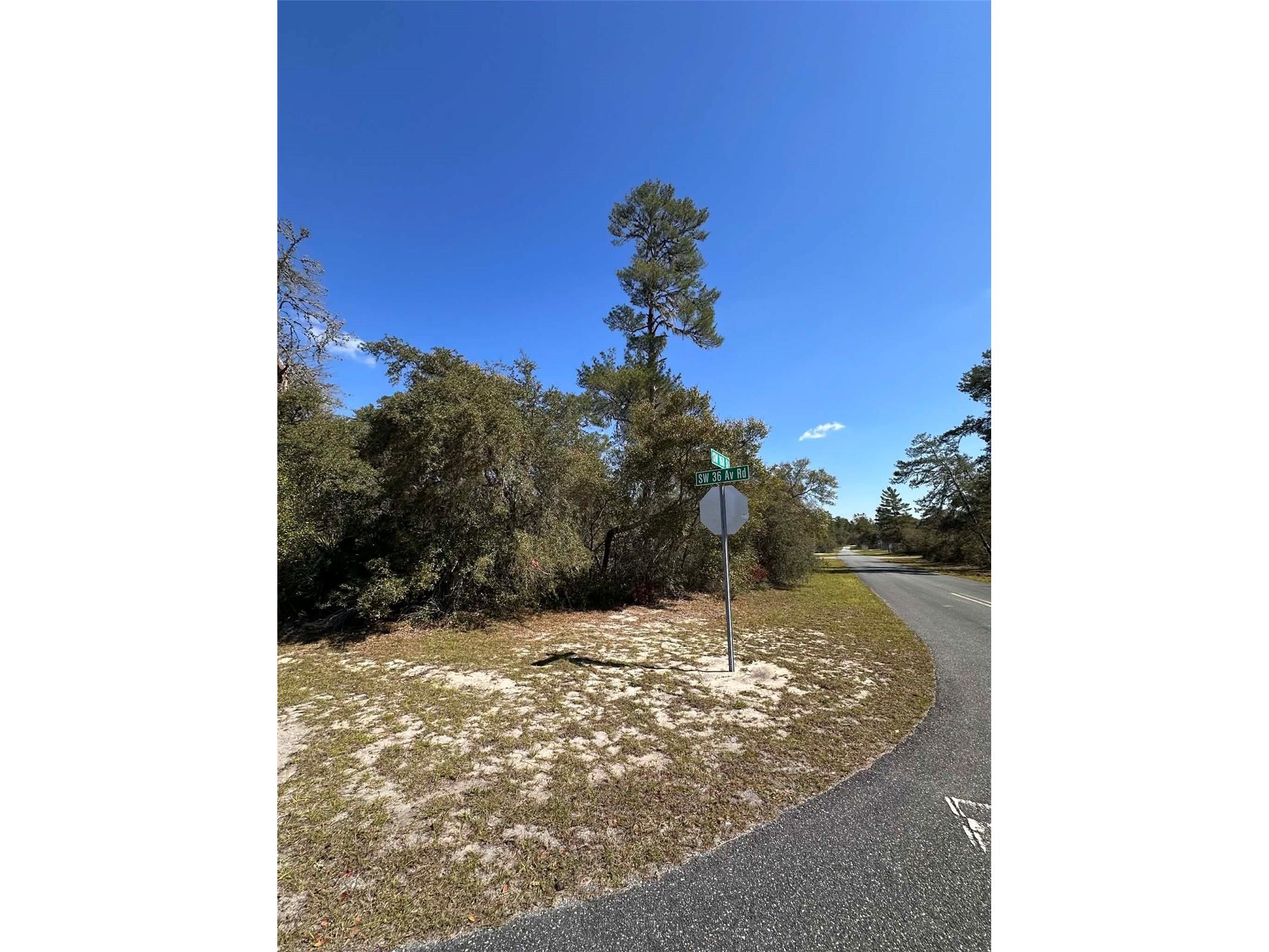 0 SW 36th Ave. Rd Ocala FL 34473 OM720987 image4