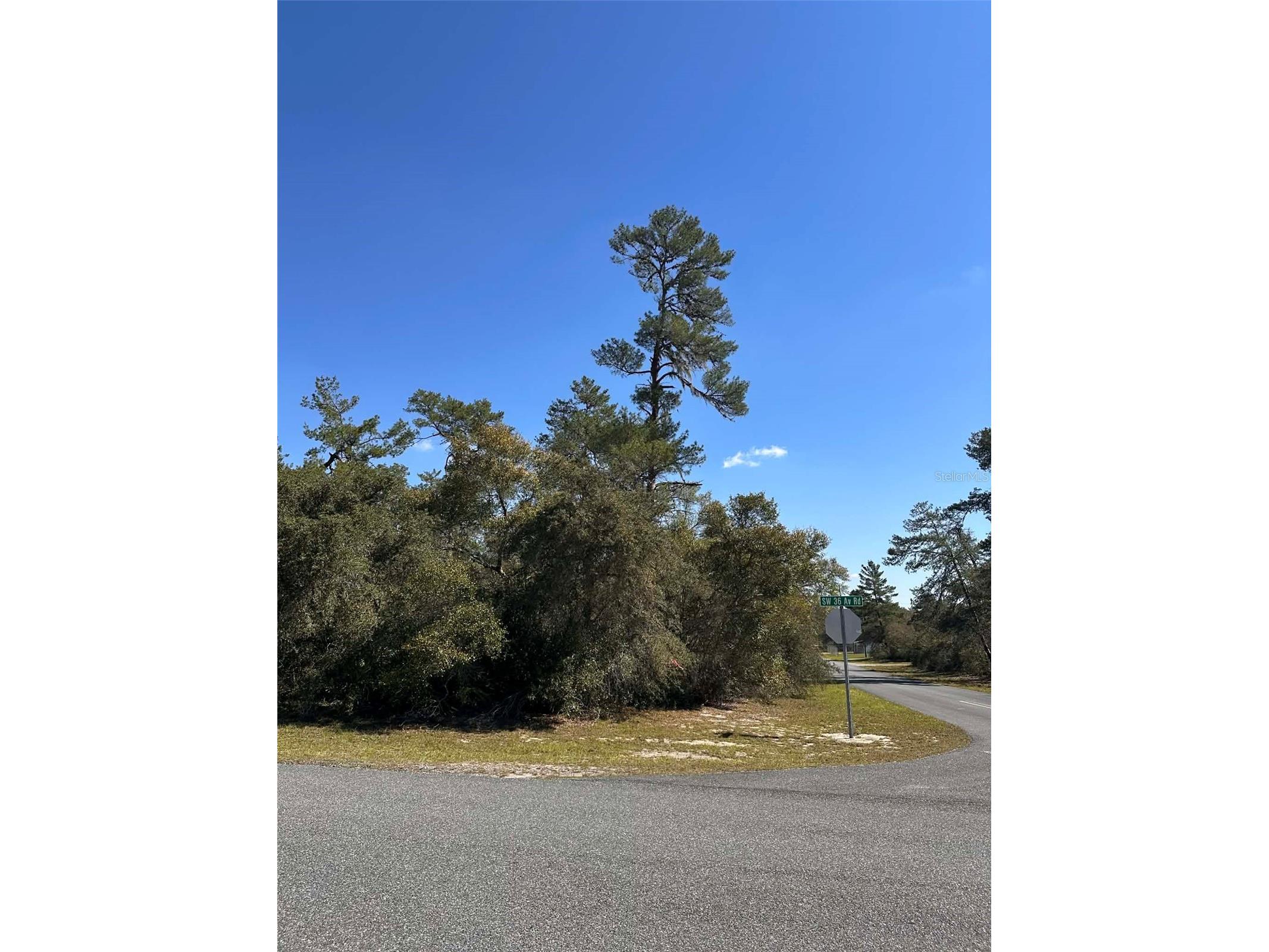 0 SW 36th Ave. Rd Ocala FL 34473 OM720987 image5