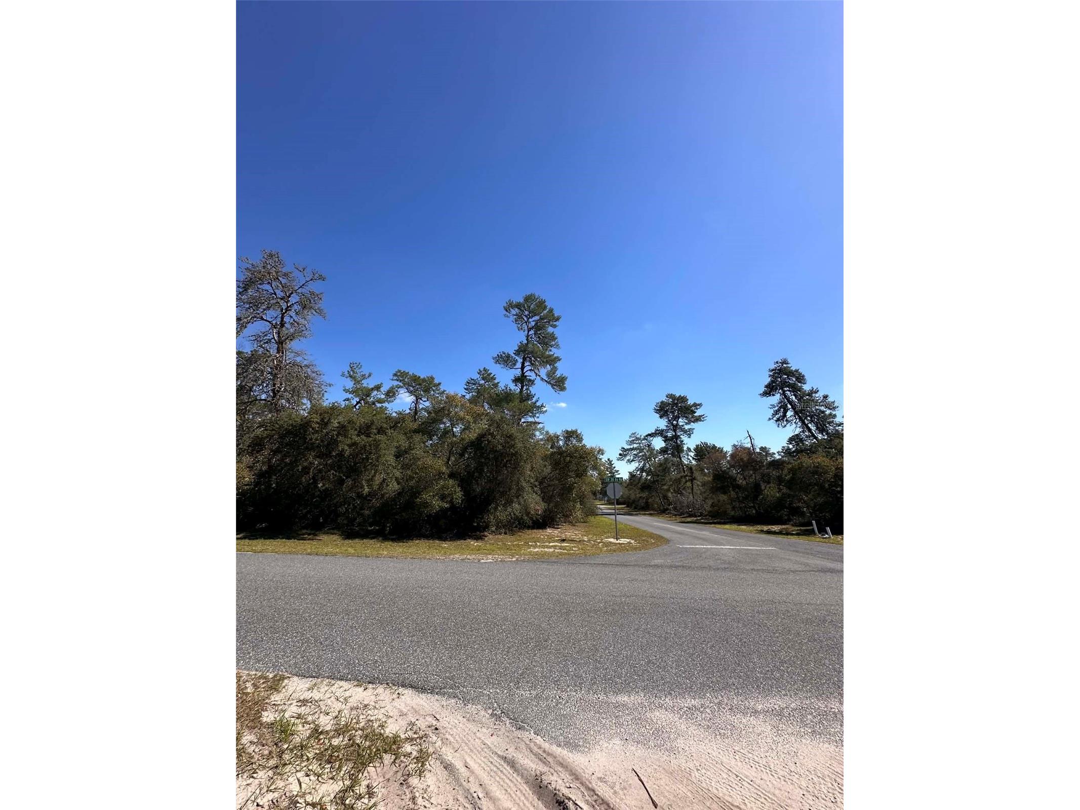 0 SW 36th Ave. Rd Ocala FL 34473 OM720987 image6
