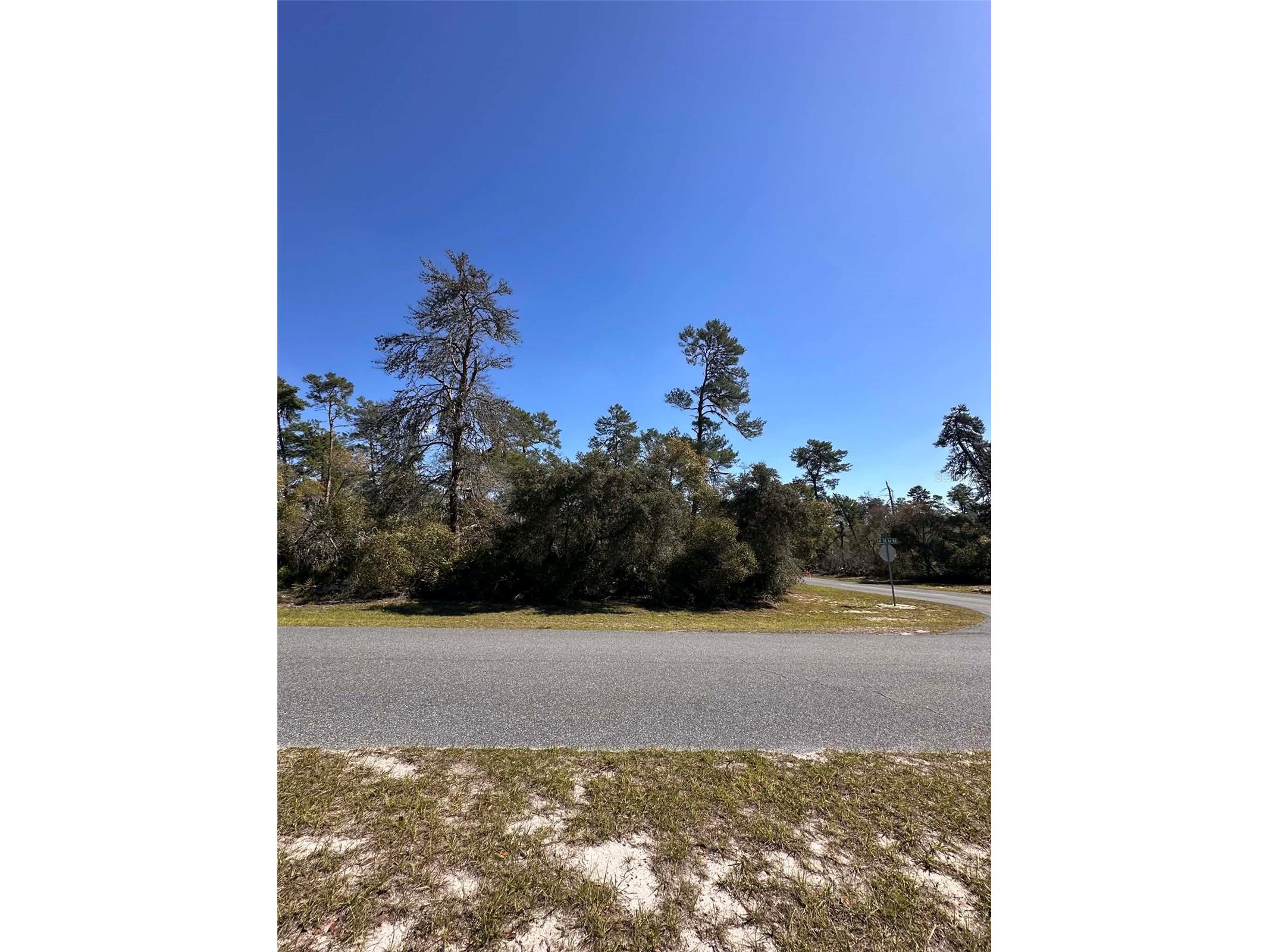 0 SW 36th Ave. Rd Ocala FL 34473 OM720987 image8