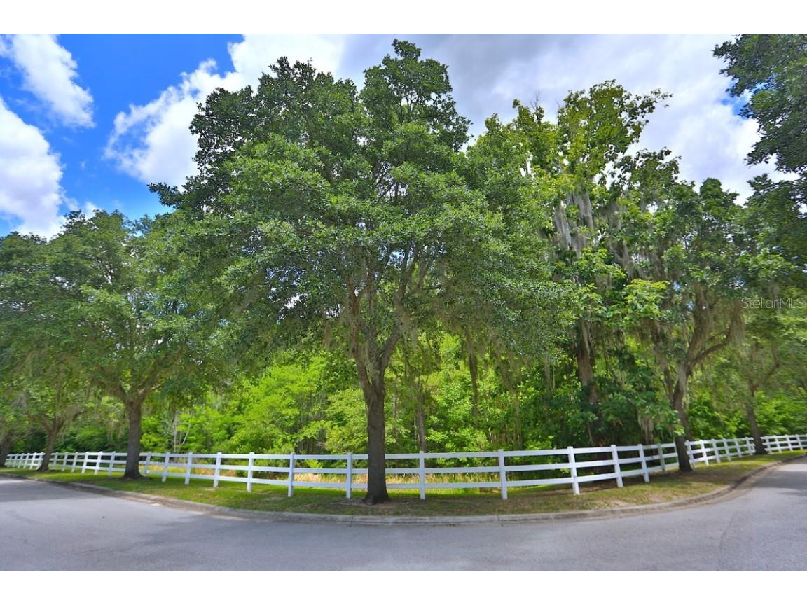 0 SW 37th Place Road Ocala FL 34471 OM638261 image1