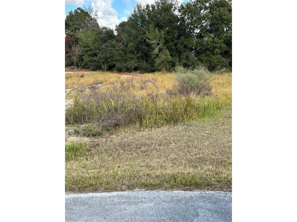 0 SW 37th Ter Ocala FL 34476 OM691422 image2