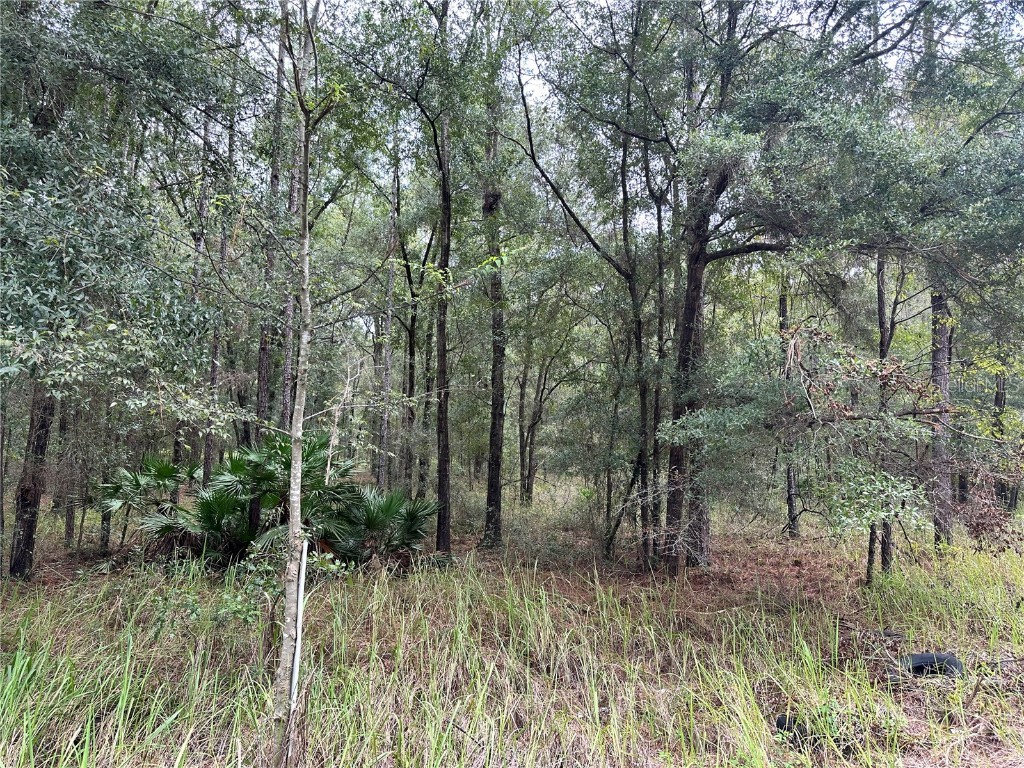 0 SW 38th Street Road Ocala FL 34474 O6140194 image1