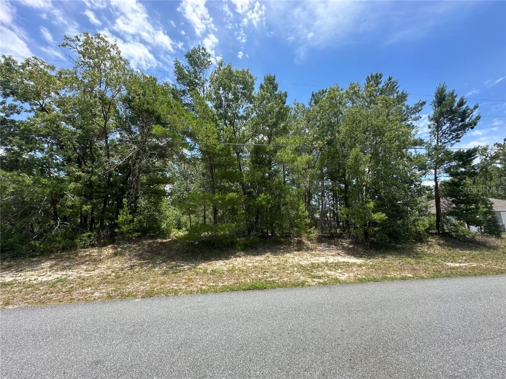 0 SW 39th Avenue Road Ocala FL 34473 OM679891 image1