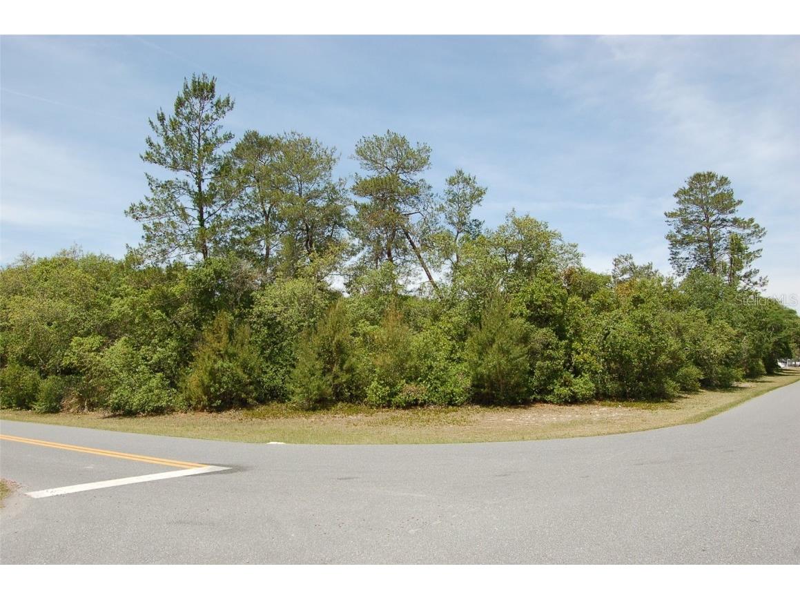 0 SW 41 Circle #6 Ocala FL 34473 OM700255 image1