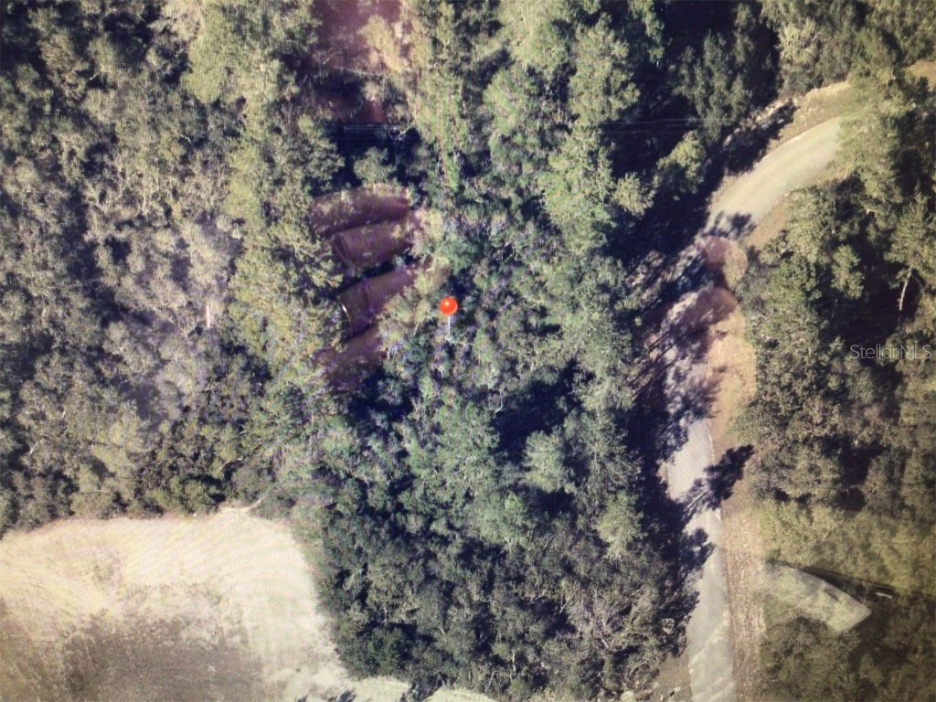 0 SW 41 Court Ocala FL 34473 OM710986 image5