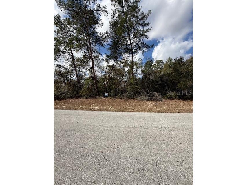 0 SW 42nd Court Road Ocala FL 34473 O6384702 image3