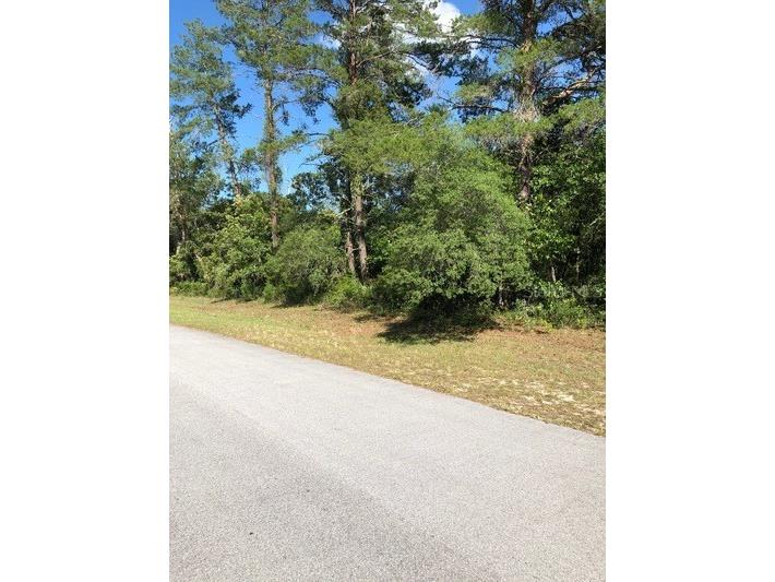 0 SW 43 Court Road Ocala FL 34473 OM619817 image1