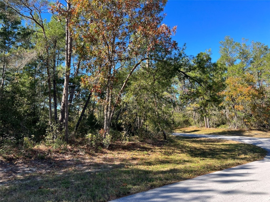 0 SW 43rd Court Ocala FL 34473 OM669245 image1