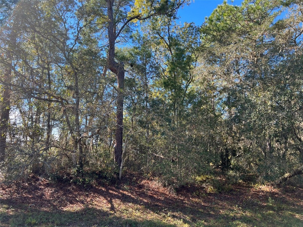 0 SW 43rd Court Ocala FL 34473 OM669250 image1