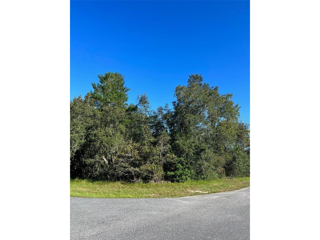 0 SW 45th Circle Ocala FL 34473 OM661648 image1