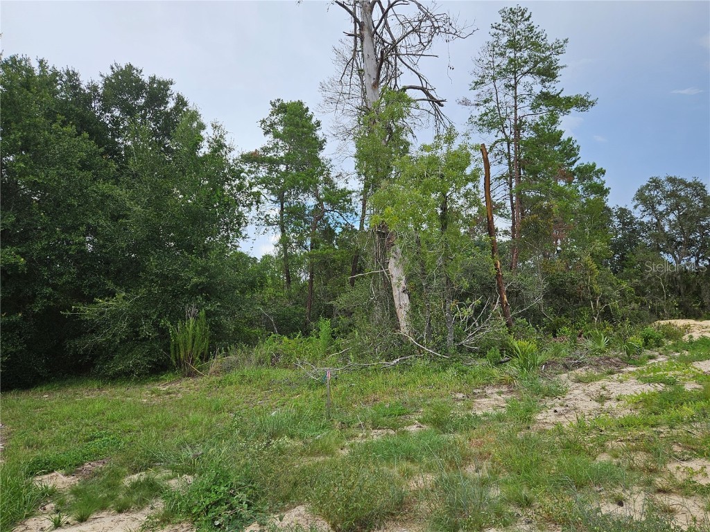 0 SW 46 Circle Ocala FL 34473 OM706873 image4