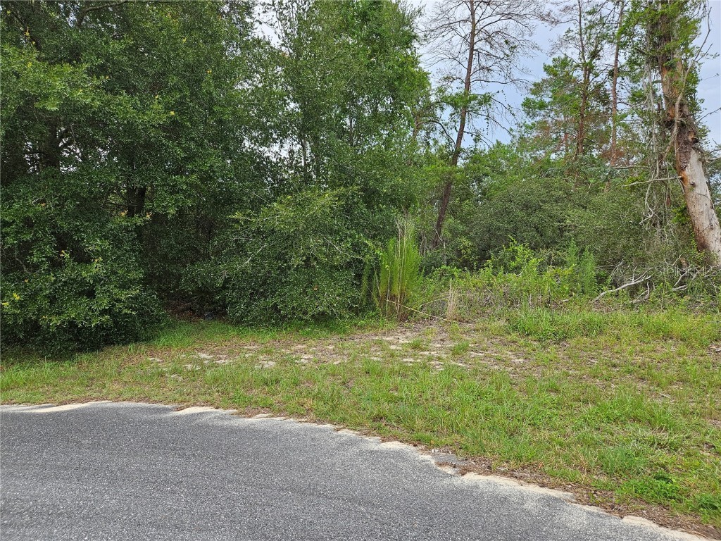 0 SW 46 Circle Ocala FL 34473 OM706873 image5