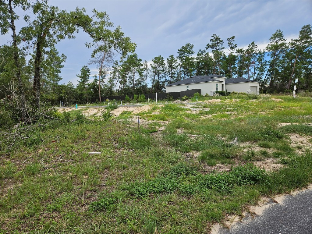 0 SW 46 Circle Ocala FL 34473 OM706873 image6