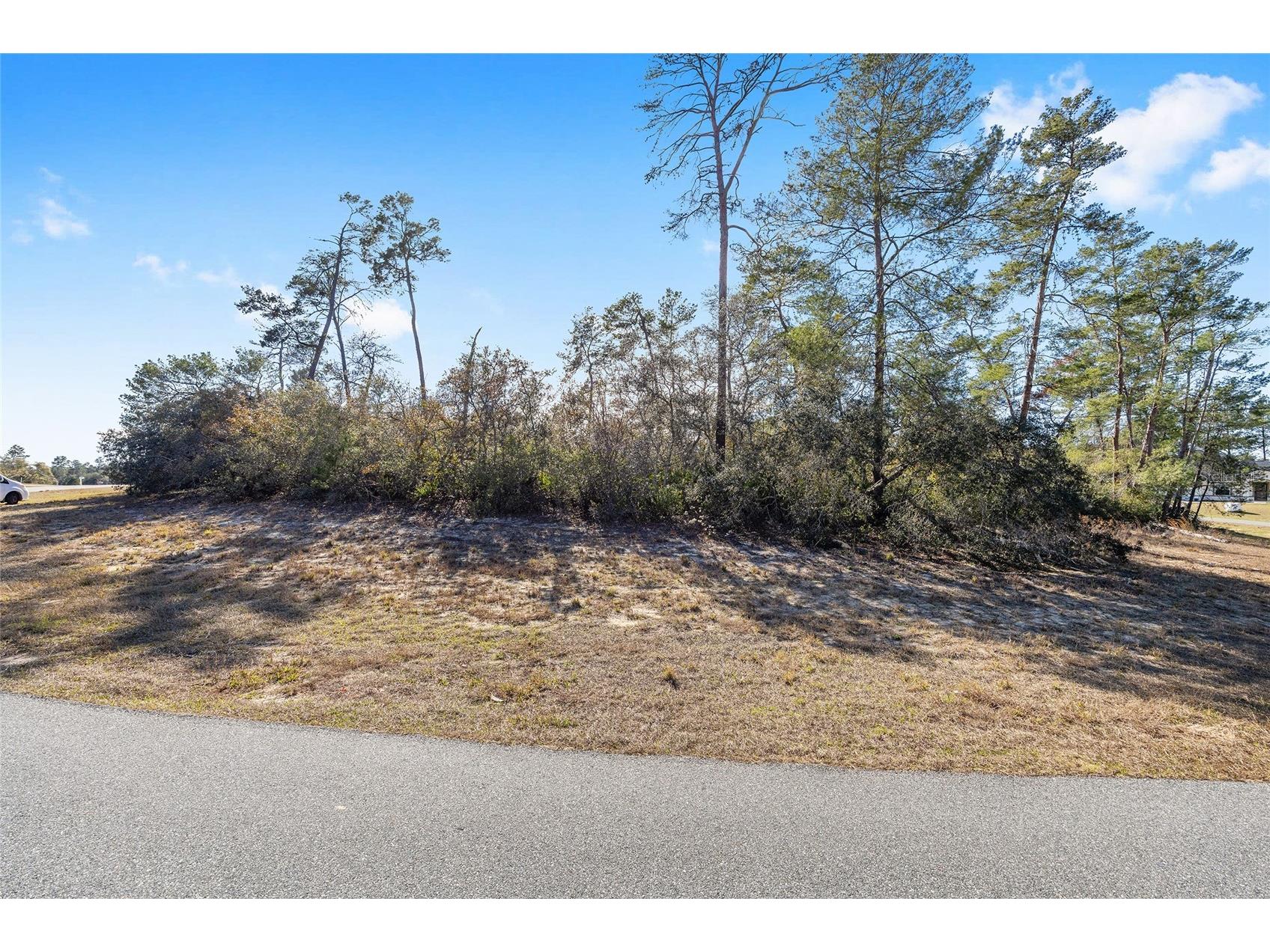 0 Sw 47 Terrace Ocala FL 34473 OM724182 image2