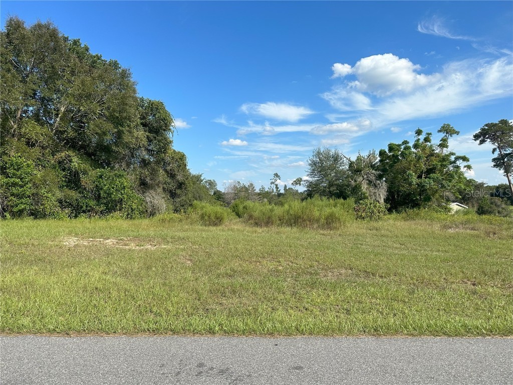 0 SW 48th Circle Ocala FL 34473 OM665463 image1