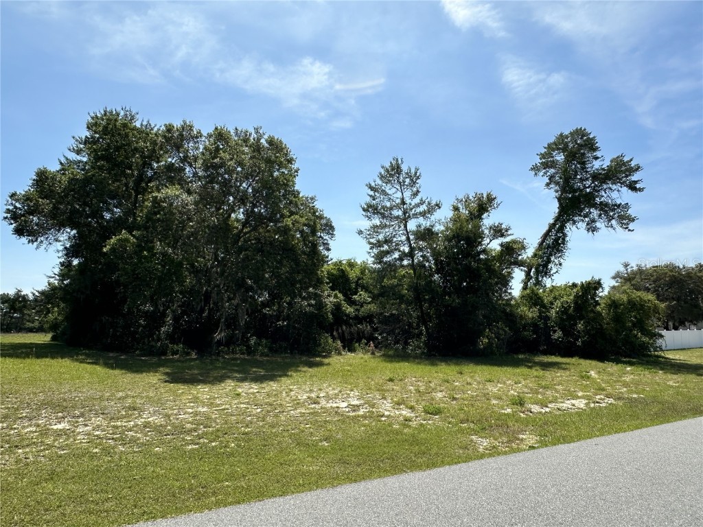 0 SW 48th Circle Ocala FL 34473 OM676986 image1