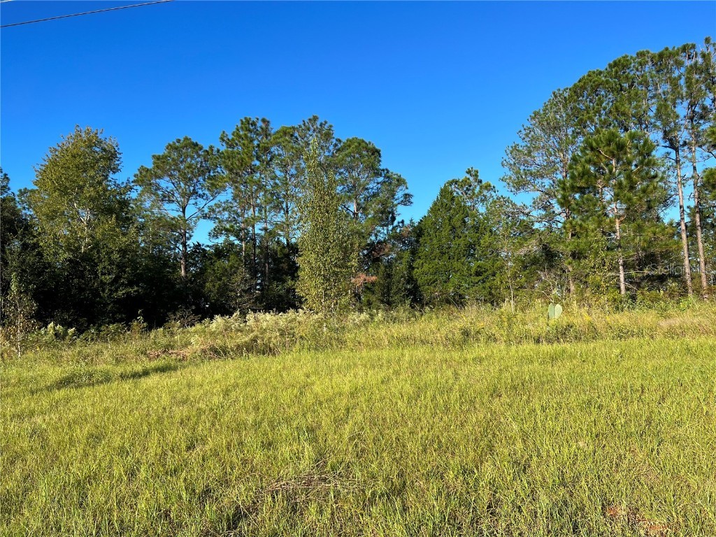 0 SW 49th Avenue Ocala FL 34473 OM666480 image1