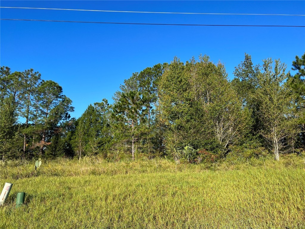 0 SW 49th Avenue Ocala FL 34473 OM666482 image1