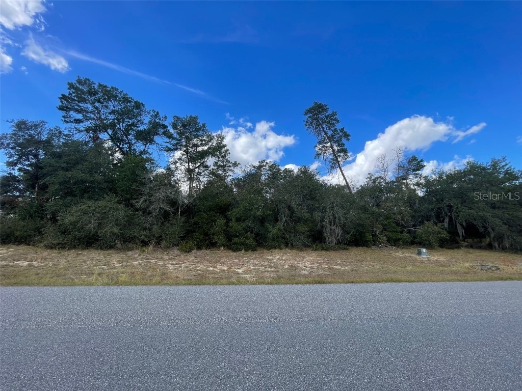 0 SW 49th Court Ocala FL 34473 O6158343 image1