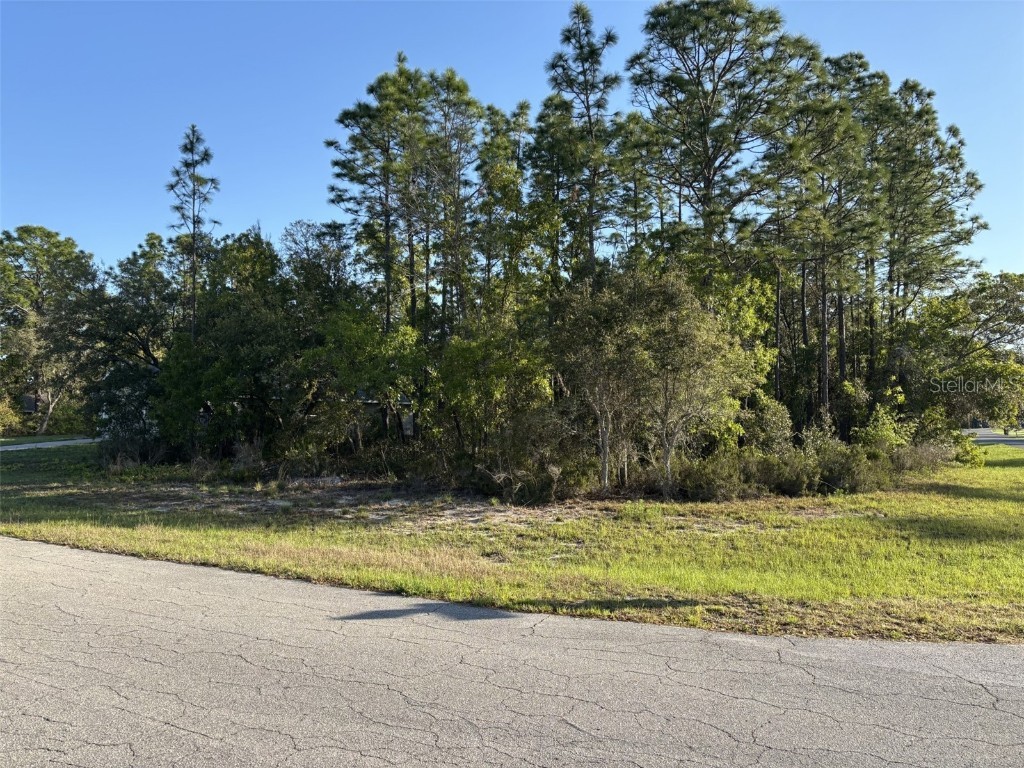 0 SW 49th Lane Ocala FL 34473 OM699091 image1