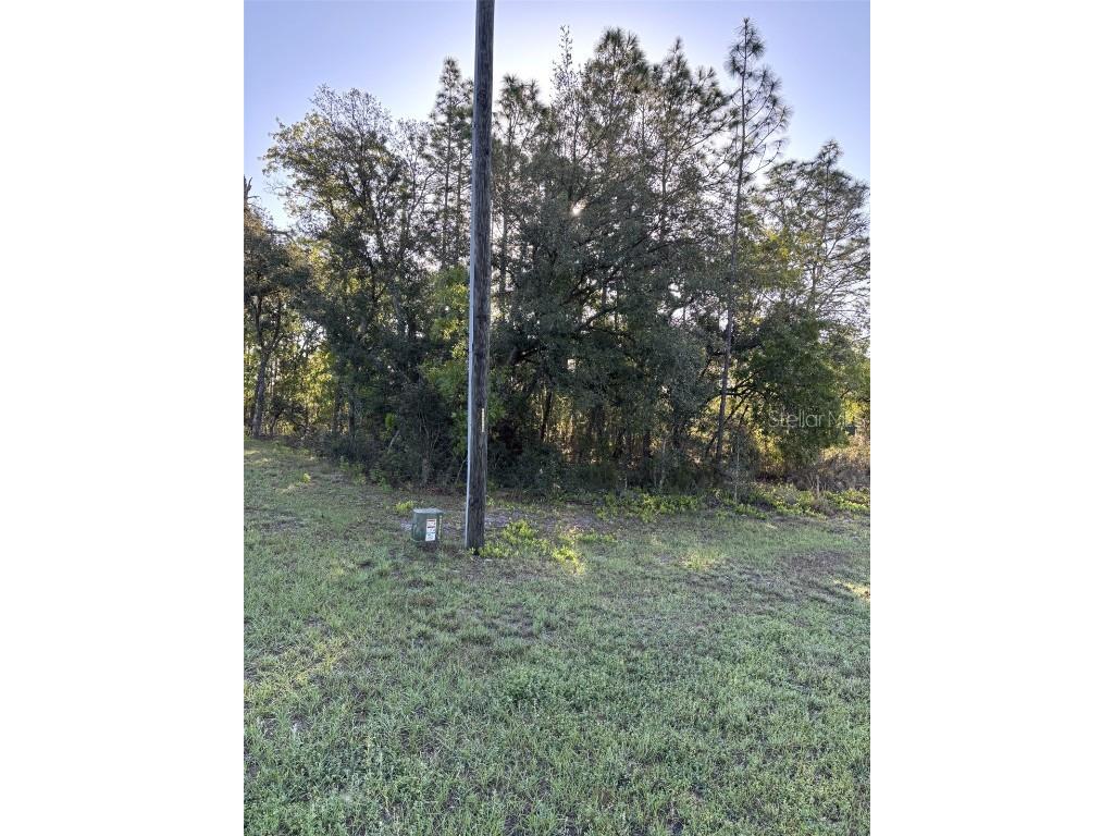 0 SW 49th Lane Ocala FL 34473 OM699091 image5