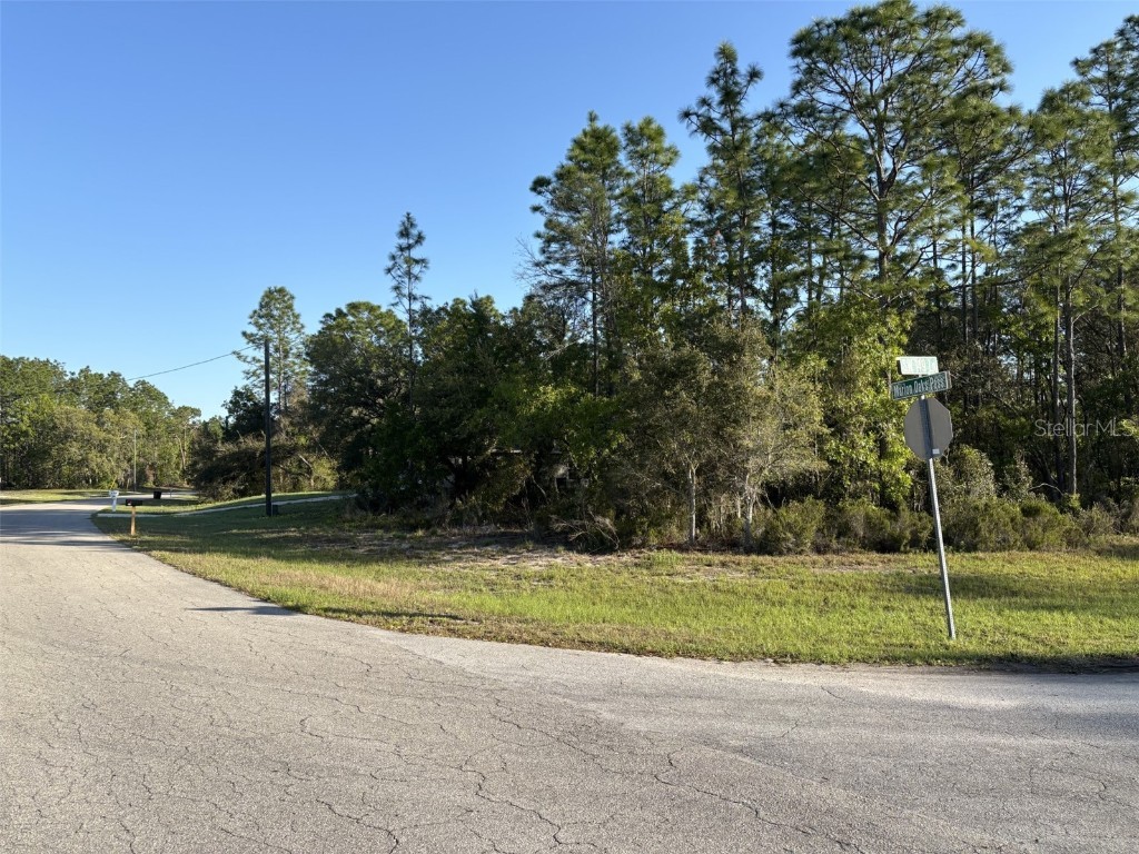 0 SW 49th Lane Ocala FL 34473 OM699091 image6