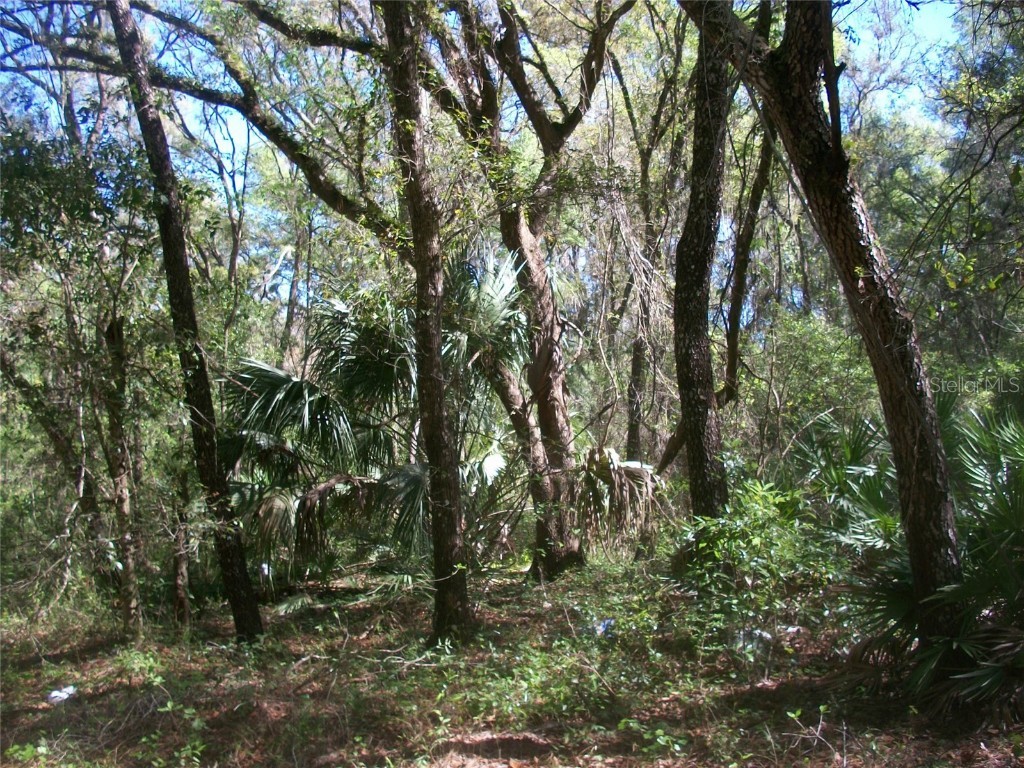 0 SW 49th Place Ocala FL 34481 OM654673 image1