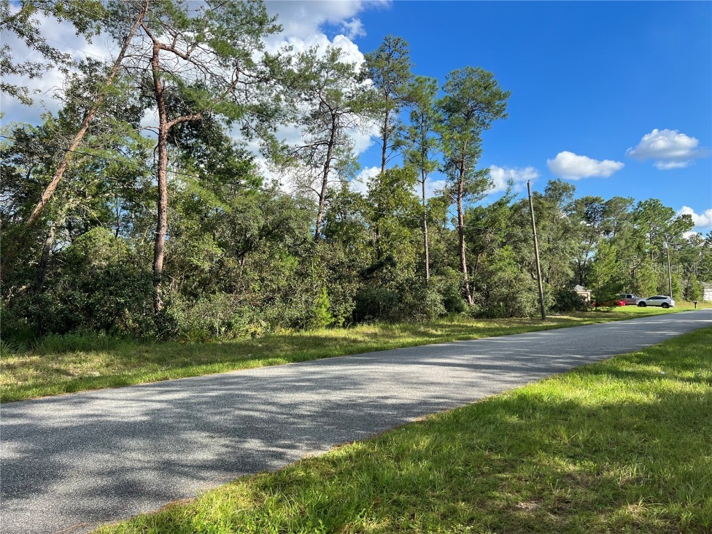 0 SW 49th St Road Ocala FL 34473 OM664403 image1