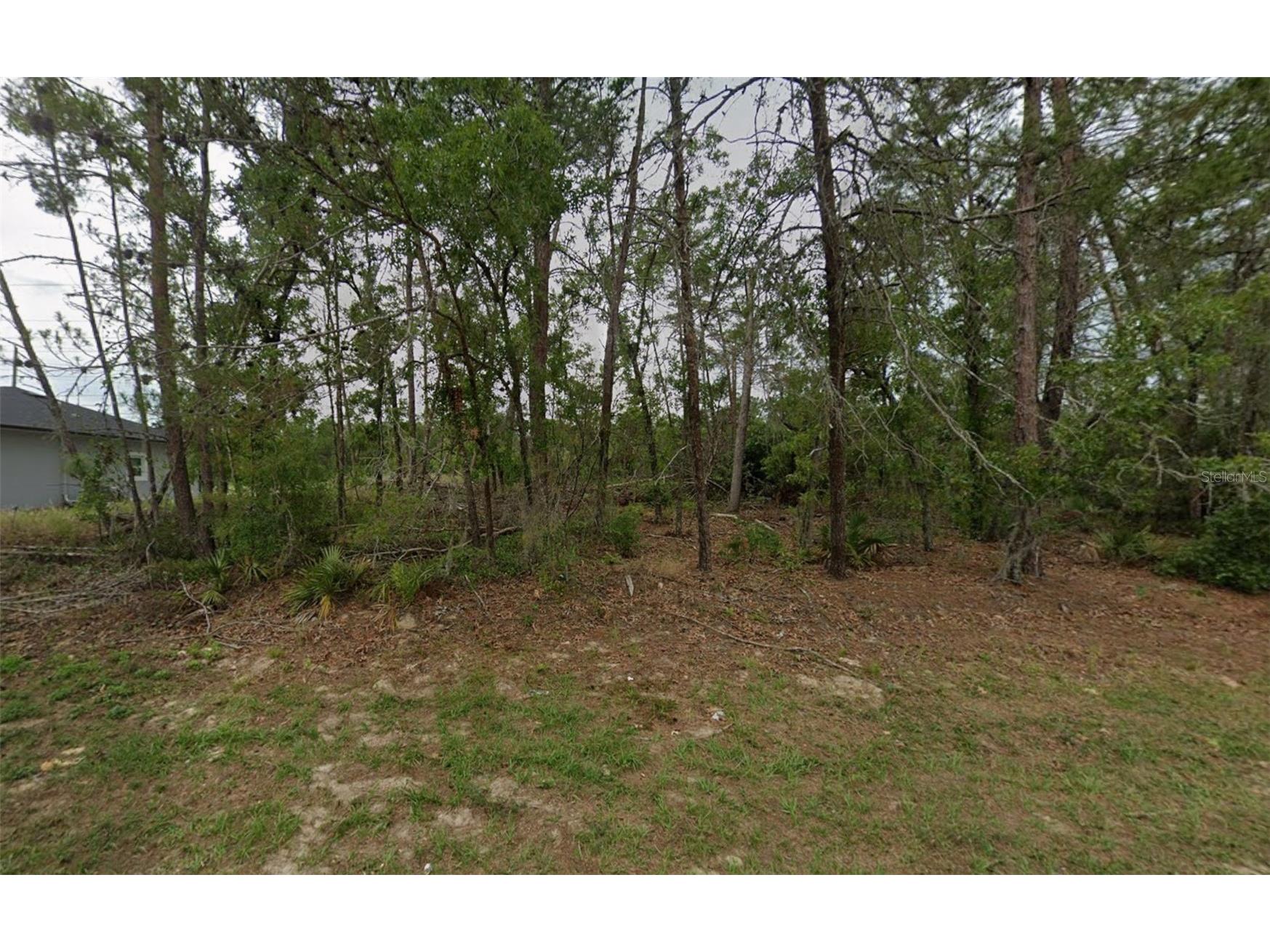 0 SW 50th Circle Ocala FL 34473 OM717085 image2