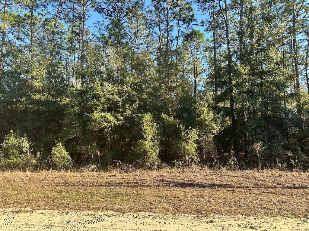 0 SW 52nd Lane Ocala FL 34481 OM696987 image1