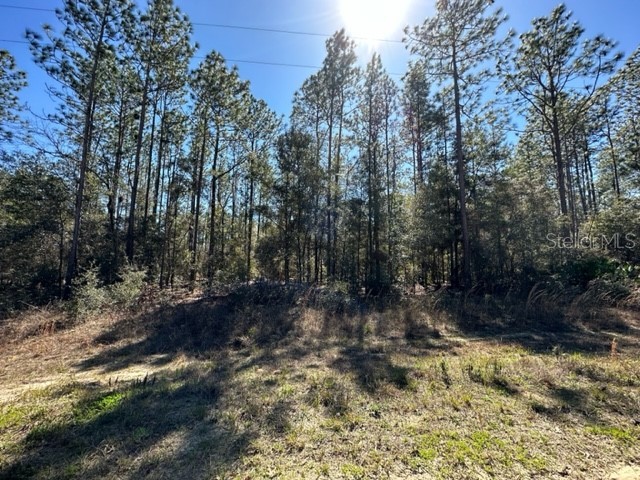 0 SW 52nd Lane Road Ocala FL 34481 OM653385 image1